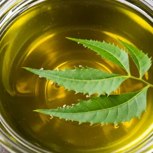 Óleo de Neem: O Guia Essencial para Descobrir os Seus Poderosos Benefícios